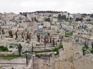 Shai Kremer Fallen Empire