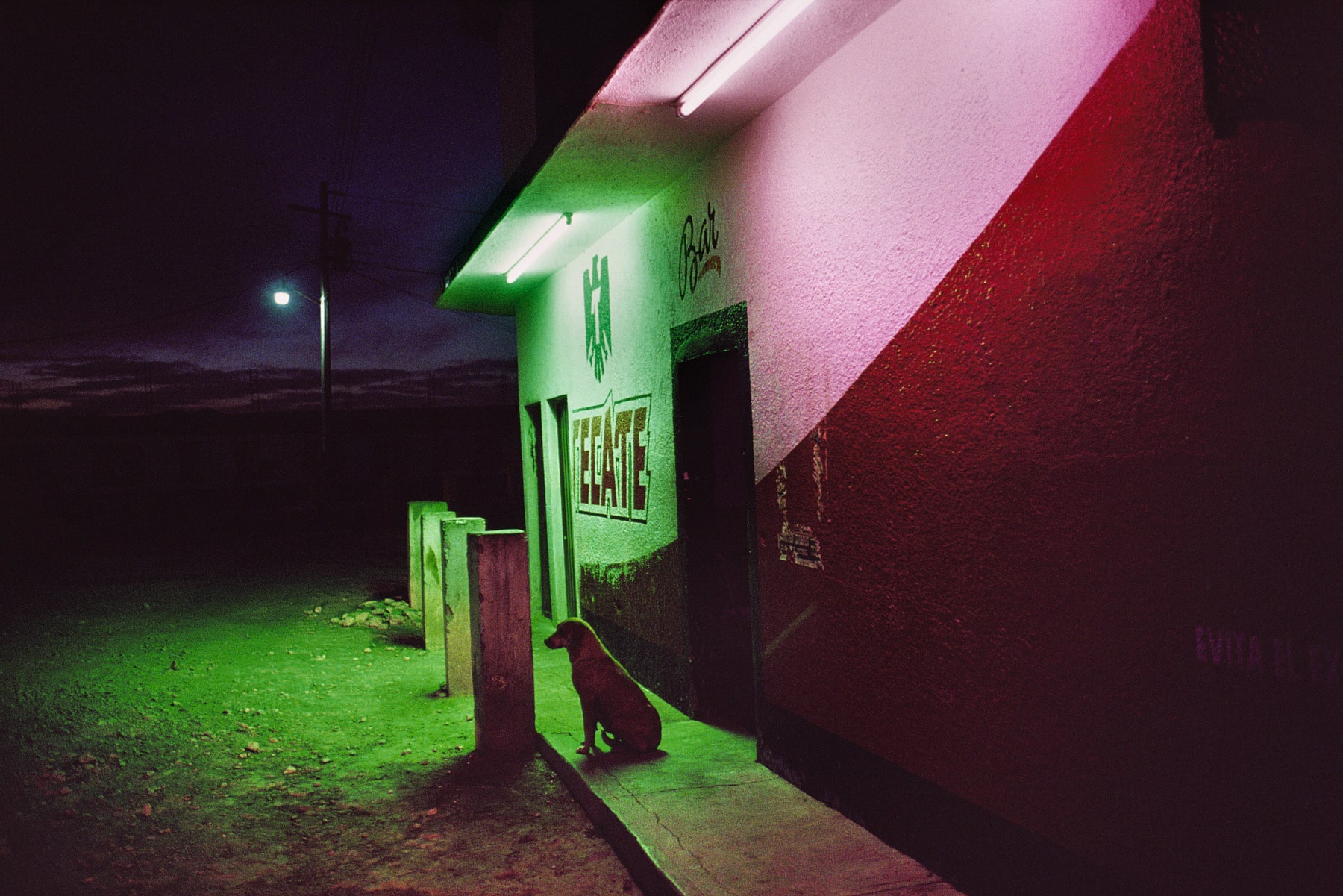 Alex Webb La Calle