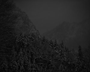 Adam Katseff Dark Landscapes