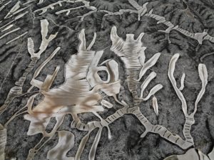 Aerial view of branching brown and white pathways in a dryland farm. Edward Burtynsky Water