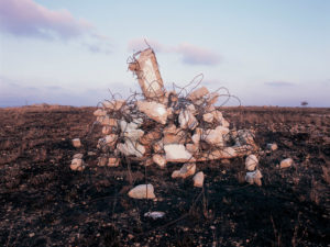 Shai Kremer Infected Landscape