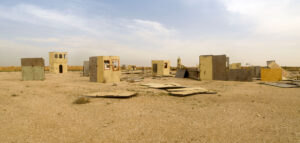 Shai Kremer Infected Landscape