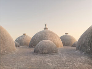 Ljubodrag Andric India