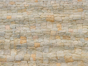 Ljubodrag Andric India