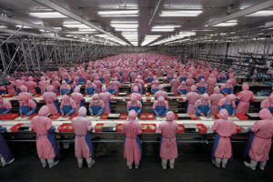 Rows of workers in pink and blue uniforms in a factory. Edward Burtynsky China