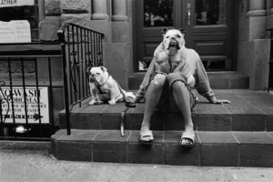 Elliott Erwitt On View