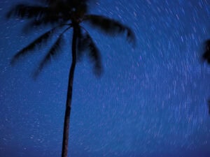 Debra Bloomfield North Star