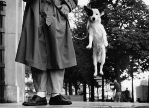 Elliott Erwitt