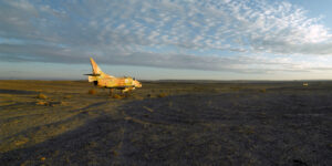 Shai Kremer Infected Landscape