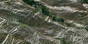 An aerial view of rice terraces in a valley. Edward Burtynsky.