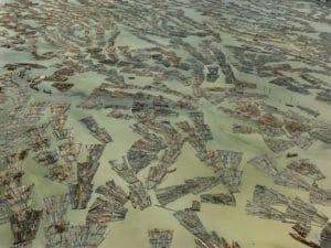 Edward Burtynsky Anthropocene