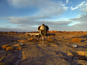 Shai Kremer Infected Landscape