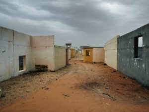 Shai Kremer Infected Landscape