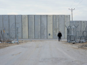 Shai Kremer Infected Landscape