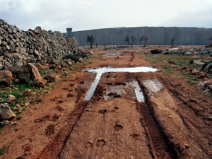 Shai Kremer Infected Landscape