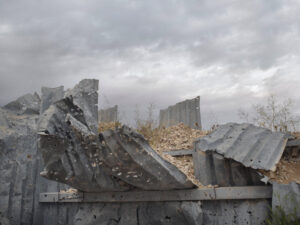 Shai Kremer Infected Landscape