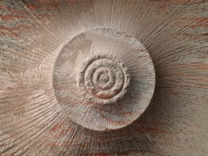 Textured red rock with drill patterns inside a potash mine. Edward Burtynsky Anthropocene