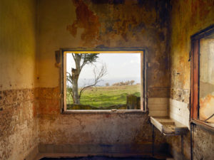 Shai Kremer Infected Landscape