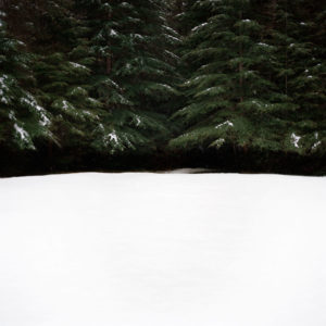 Debra Bloomfield Wilderness