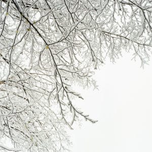 Debra Bloomfield Wilderness