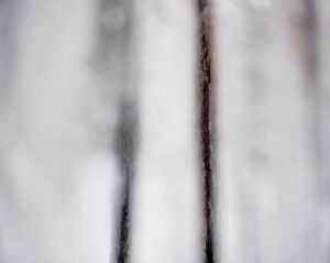 Debra Bloomfield Winter Abstract
