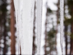 Debra Bloomfield Winter Abstract