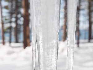 Debra Bloomfield Winter Abstract