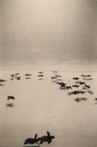 Masao Yamamoto Nakazora