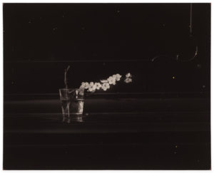 Masao Yamamoto A Box of Ku