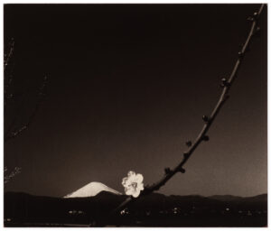 Masao Yamamoto A Box of Ku