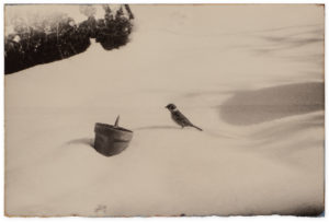 Masao Yamamoto A Box of Ku