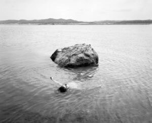 A black and white photo of a person swimming in the water Mimi Plumb The Reservoir