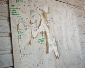 Trent Davis Bailey North Fork