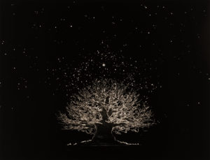 Yamamoto Masao Bonsai · Microcosms