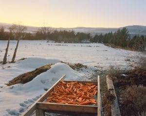 Trent Davis Bailey North Fork