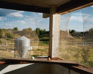 Trent Davis Bailey North Fork