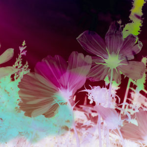 Karine Laval Heterotopia