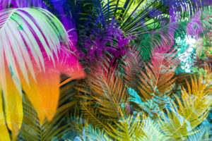 Karine Laval Heterotopia