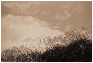 Yamamoto Masao Kawa=Flow