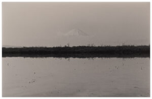 Yamamoto Masao Kawa=Flow