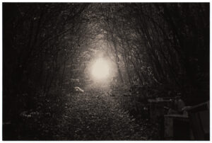 Yamamoto Masao Kawa=Flow