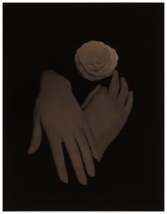 Yamamoto Masao Kawa=Flow