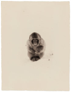 Yamamoto Masao Kawa=Flow