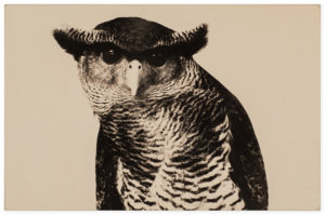 Yamamoto Masao Bonsai · Microcosms Kawa=Flow