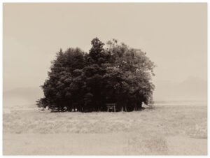 Yamamoto Masao Kawa=Flow