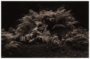 Yamamoto Masao Kawa=Flow