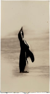 Masao Yamamoto Kawa=Flow