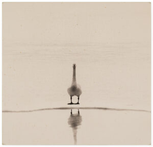 Yamamoto Masao Kawa=Flow