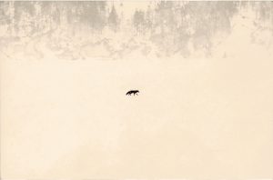 Masao Yamamoto