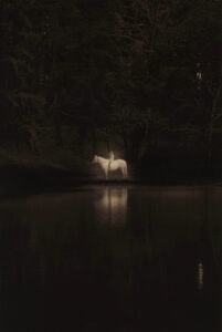 Masao Yamamoto La vie simple